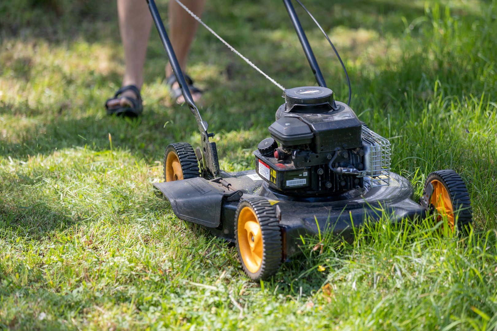 grass cutting