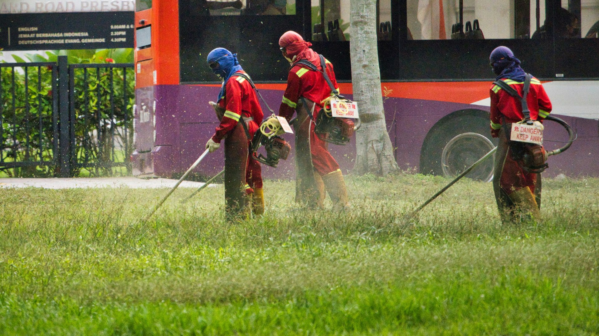 grass cutting