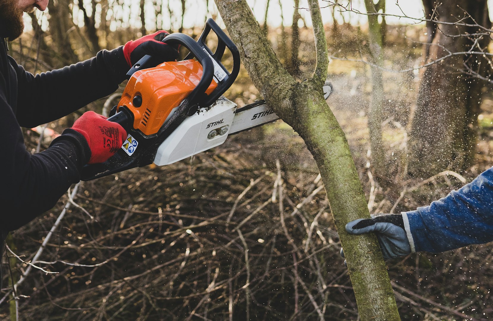 tree cutting service