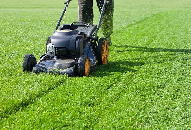 grass cutting and garden maintenance malaysia